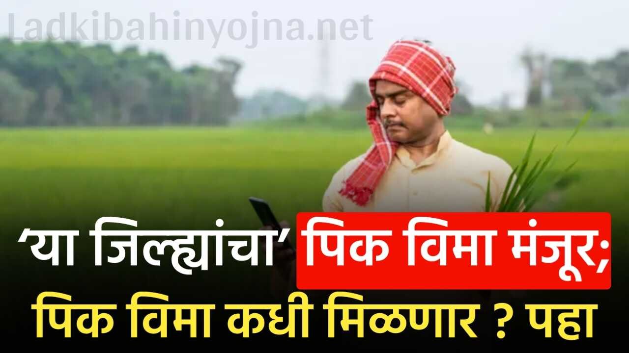 या जिल्ह्यांचा पिक विमा मंजूर; पिक विमा कधी मिळणार ? पहा Crop Insurance List